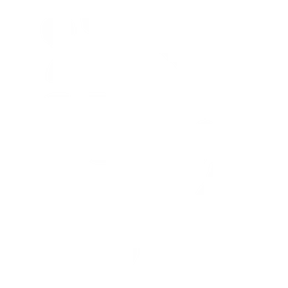 Promesa Digital